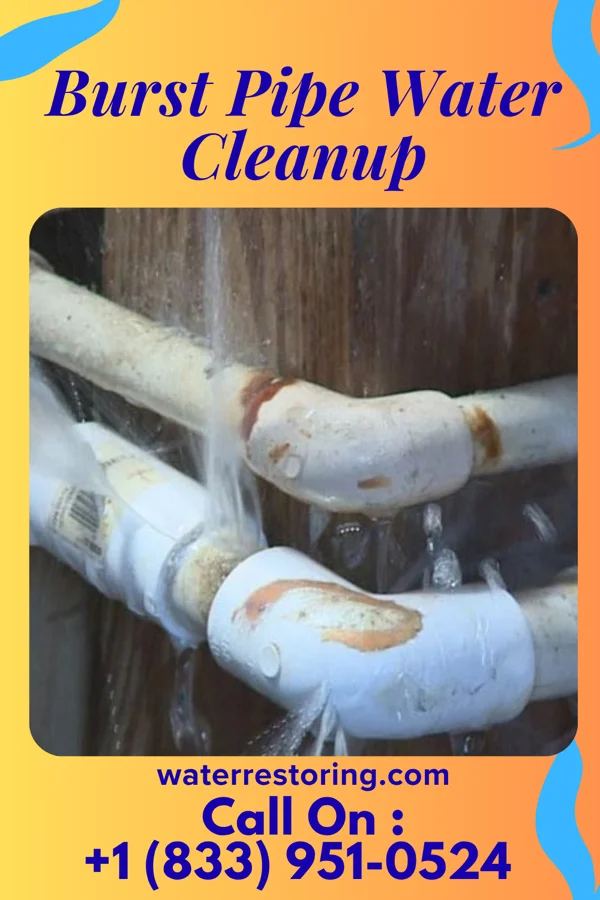 Burst Pipe Water Cleanup in Susan Moore, AL