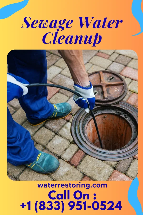 Sewage Water Cleanup in Susan Moore, AL